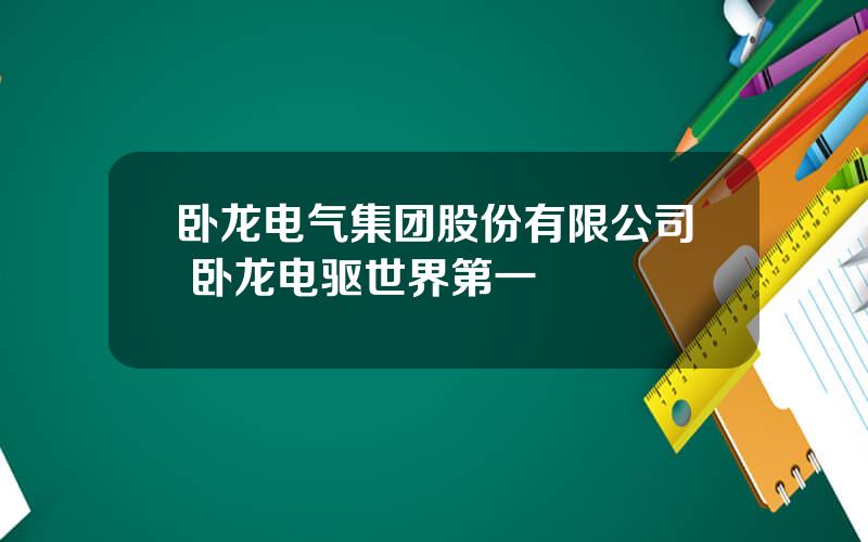 卧龙电气集团股份有限公司 卧龙电驱世界第一